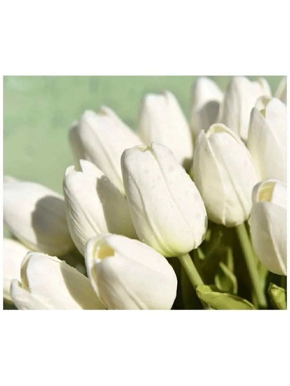 Artificial Creamy White Tulip Stems Bouquet 20 Stems 14 inch Realistic Look Fake